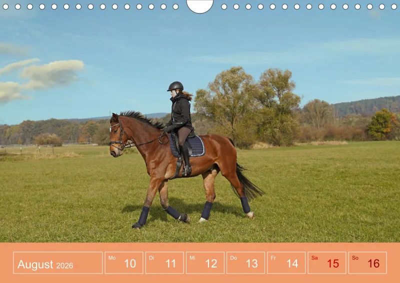 2026 A4 Faszination Reitsport - Wochenkalender