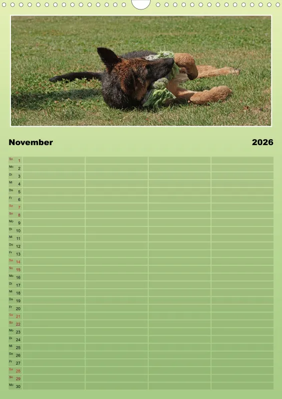 2026 A3 Familienplaner Schäferhündin