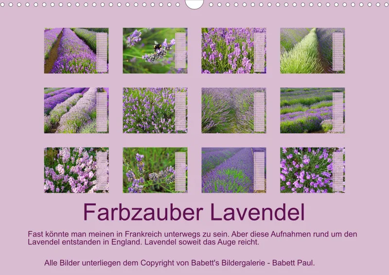 2026 A3 Terminplaner Farbzauber Lavendel