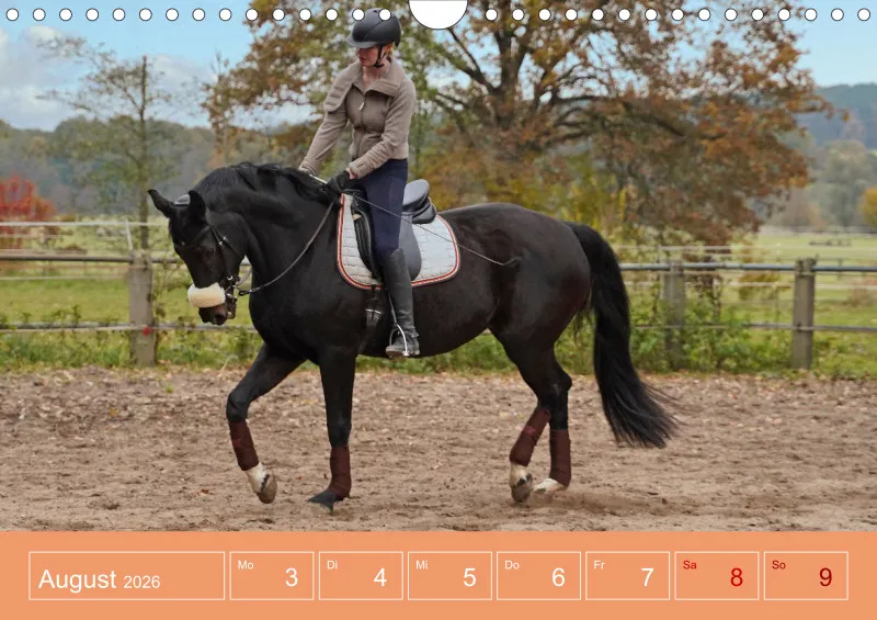 2026 A4 Faszination Reitsport - Wochenkalender