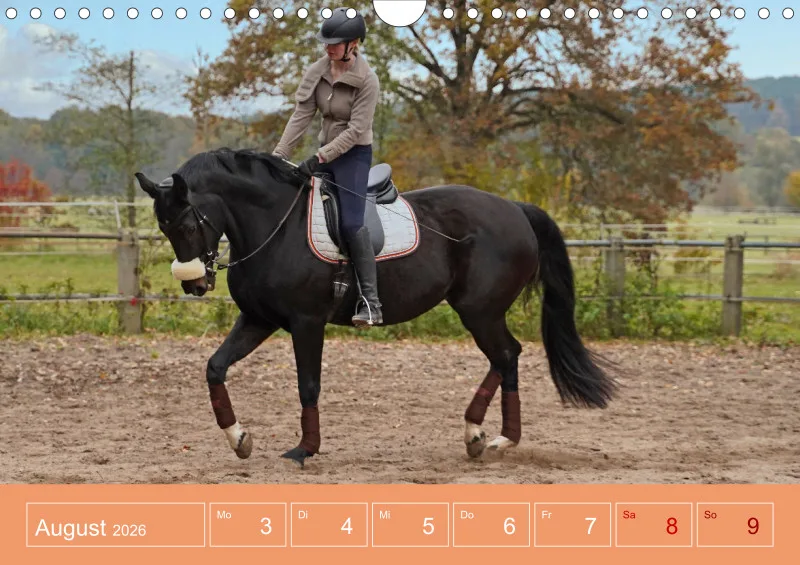 2026 A4 Faszination Reitsport - Wochenkalender