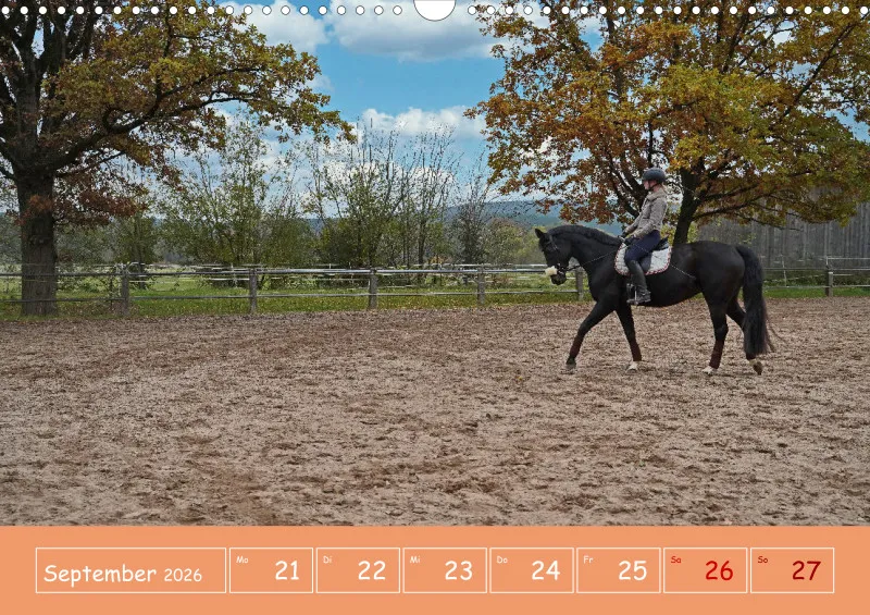 2026 A3 Faszination Reitsport - Wochenkalender