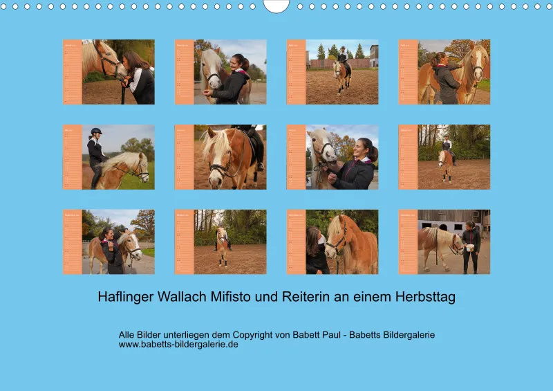 2026 A3 Planer Haflinger Mifisto und Reiterin