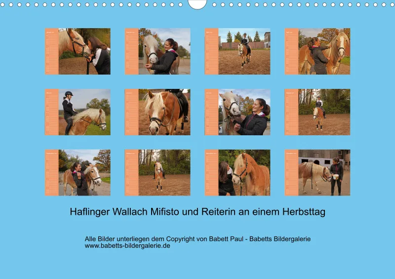 2026 A3 Planer Haflinger Mifisto und Reiterin