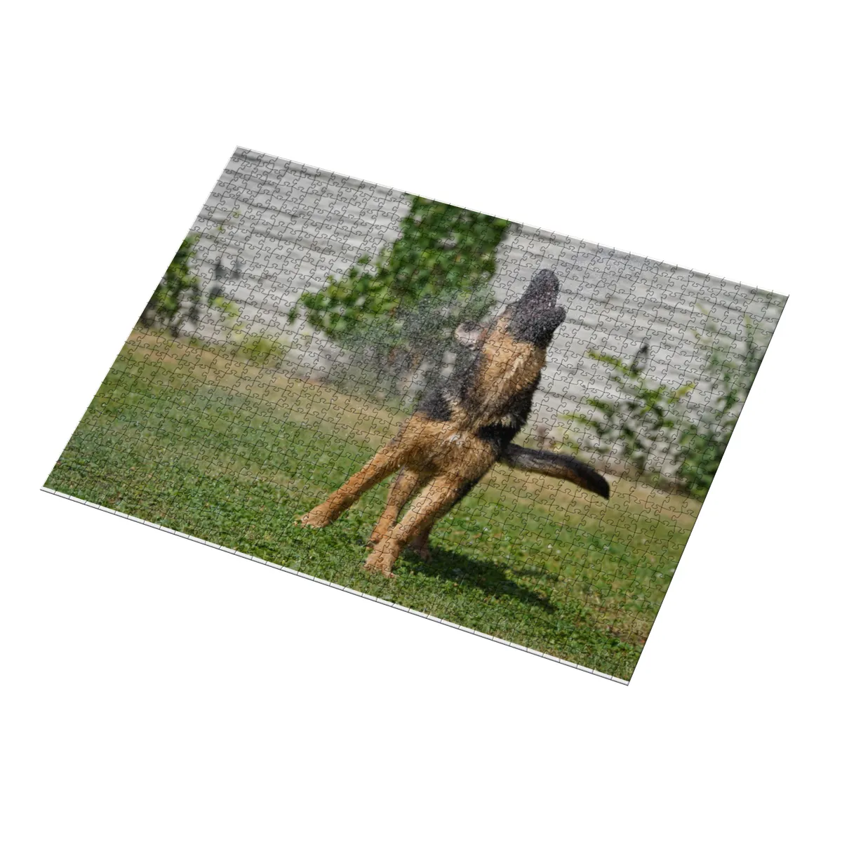 Puzzle 1000 Teile „Abkühlung in Action: Der Wasserspringer“