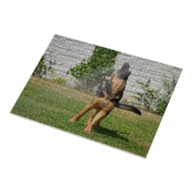 Puzzle 1000 Teile „Abkühlung in Action: Der Wasserspringer“