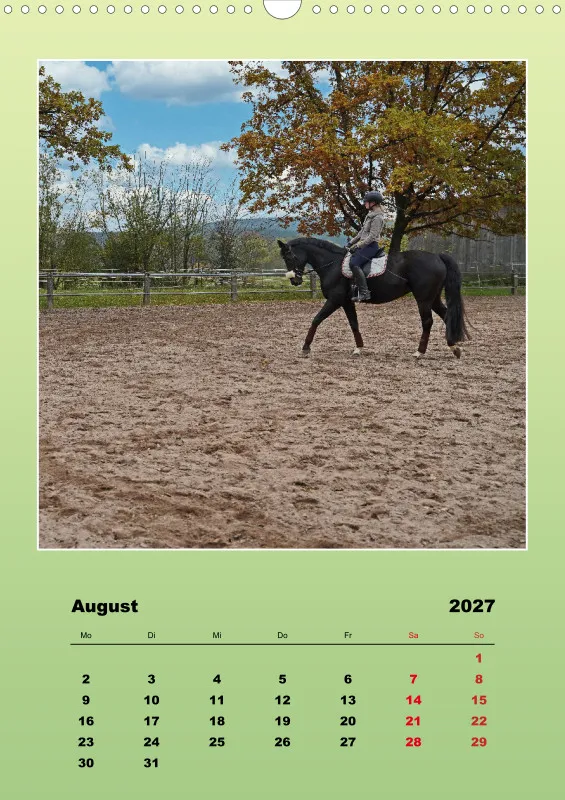 2027 A3 Faszination Bayer