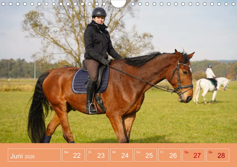 2026 A4 Faszination Reitsport - Wochenkalender
