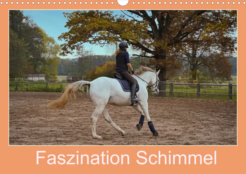 2025 A3 Faszination Schimmel