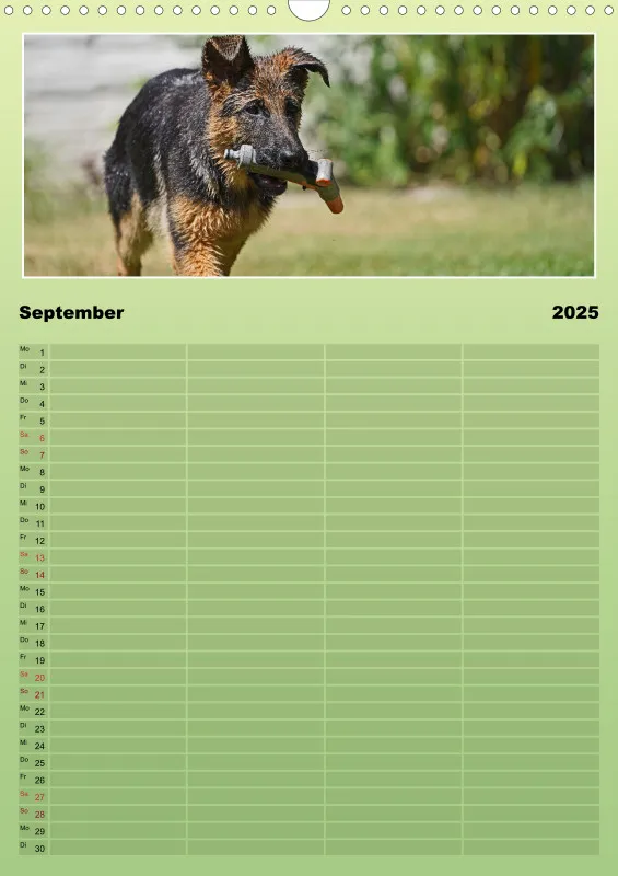 2025 A3 Familienplaner Schäferhündin