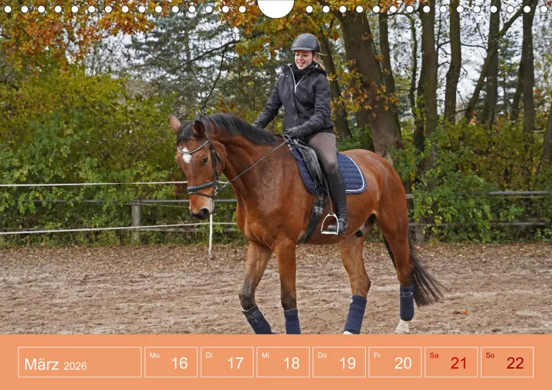 2026 A4 Faszination Reitsport - Wochenkalender