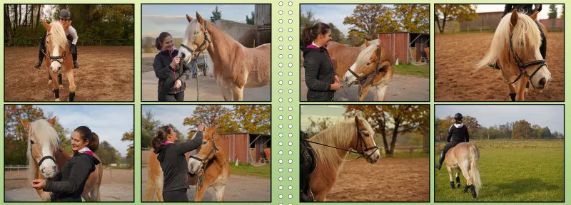 Fotoalbum A4 - Faszination Reitsport