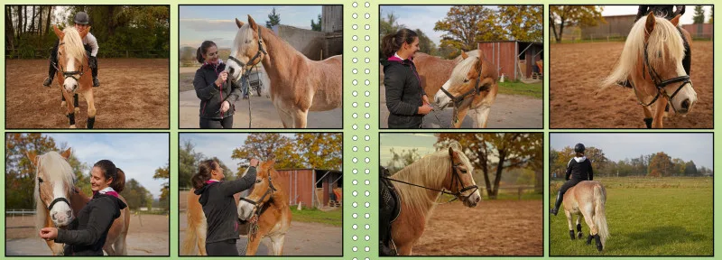 Fotoalbum A4 - Faszination Reitsport