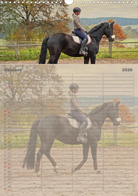 2026 A3 Faszination Reitsport - Familienplaner