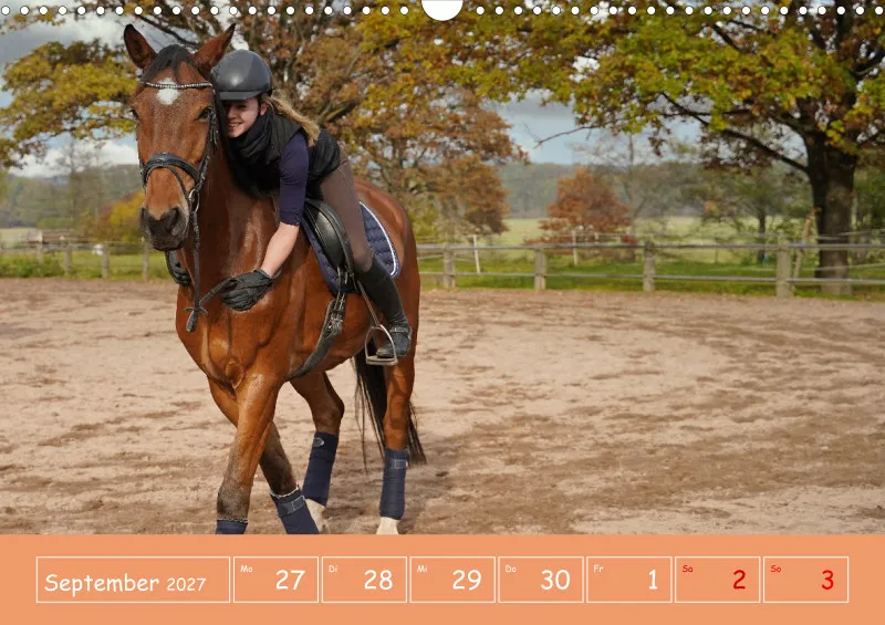 2027 A3 Faszination Reitsport - Wochenkalender