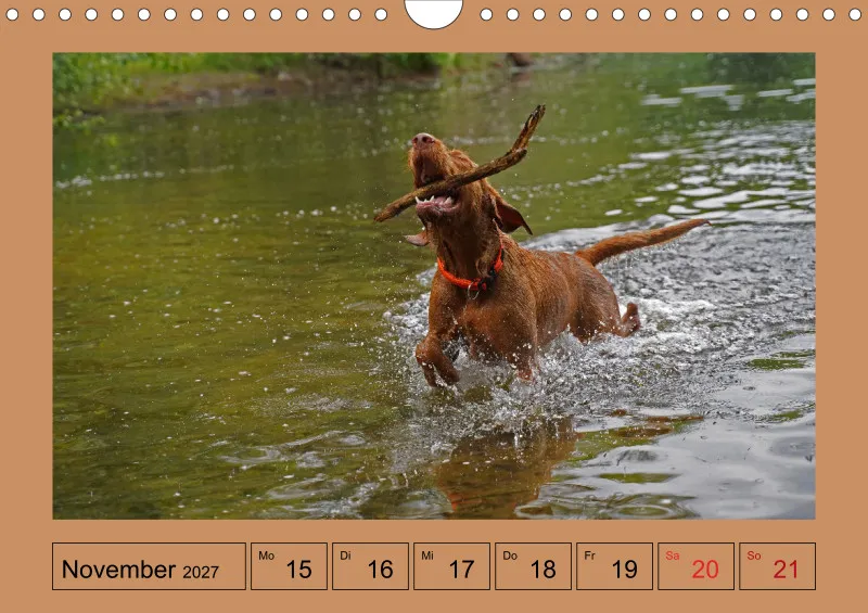 2027 A4 Wochenkalender Faszination Magyar Vizsla