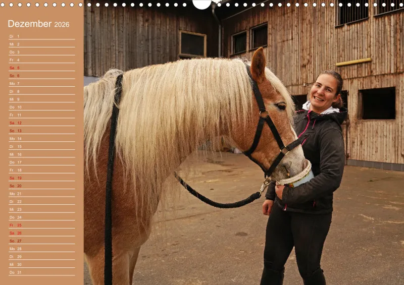 2026 A3 Faszination Haflinger