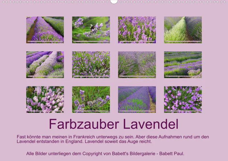 2025 A2 Farbzauber Lavendel