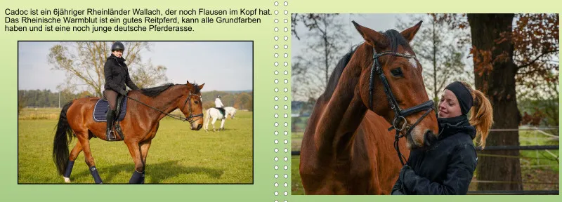 Fotoalbum A4 - Faszination Reitsport