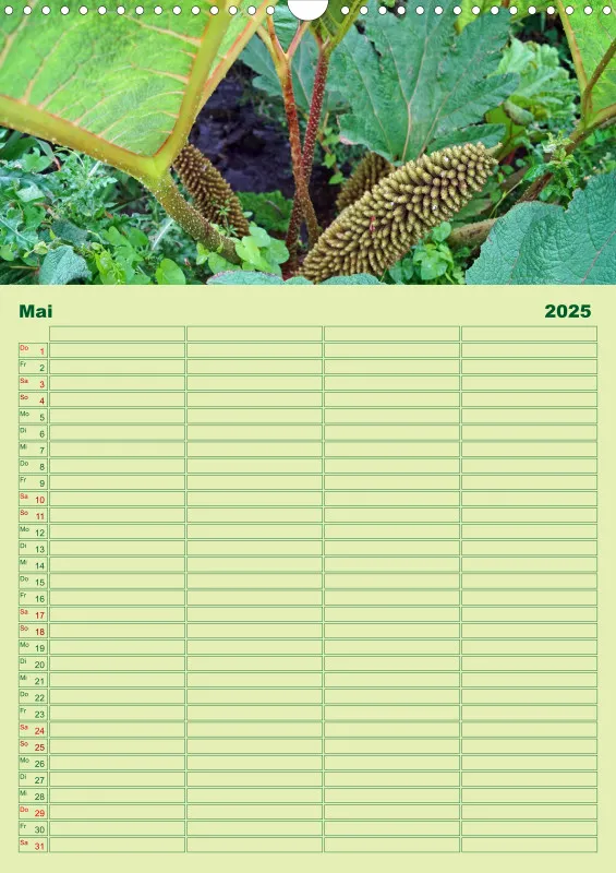 2025 A3 Planer Farbzauber Natur - Grün