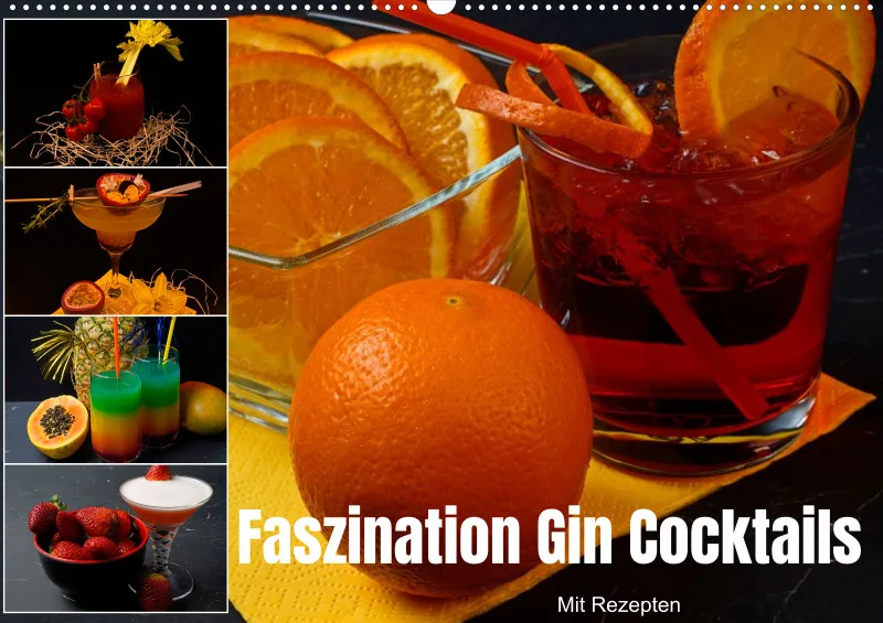 2027 A2 Faszination Gin Cocktails