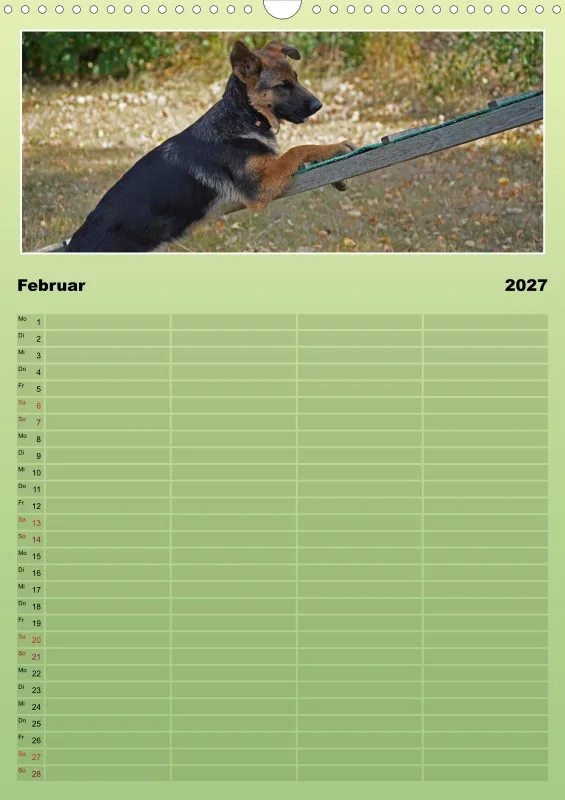 2027 A3 Familienplaner Schäferhündin