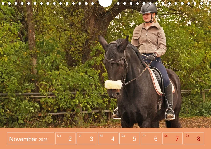 2026 A4 Faszination Reitsport - Wochenkalender