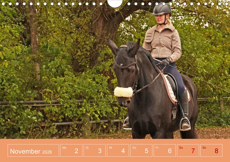 2026 A4 Faszination Reitsport - Wochenkalender