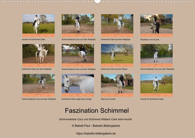 2027 A2 Faszination Schimmel
