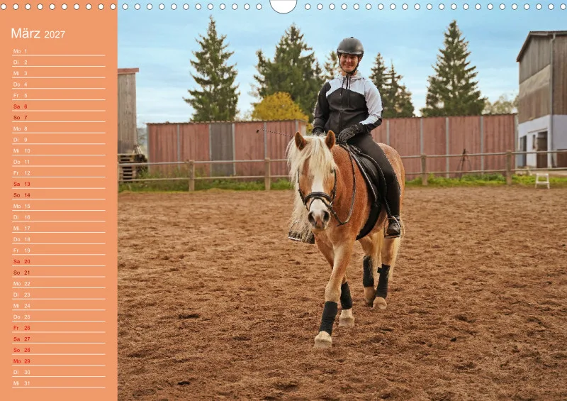 2027 A3 Haflinger Mifisto und Reiterin