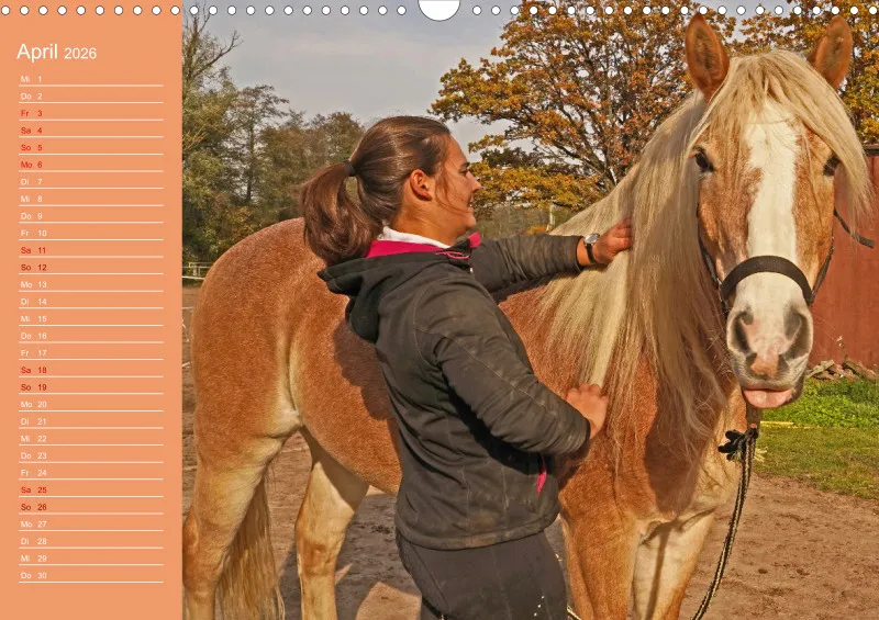 2026 A3 Planer Haflinger Mifisto und Reiterin