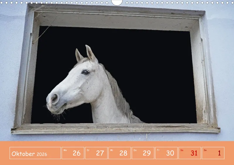 2026 A3 Faszination Reitsport - Wochenkalender