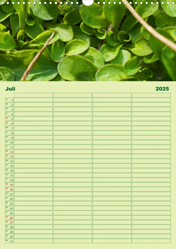 2025 A3 Planer Farbzauber Natur - Grün