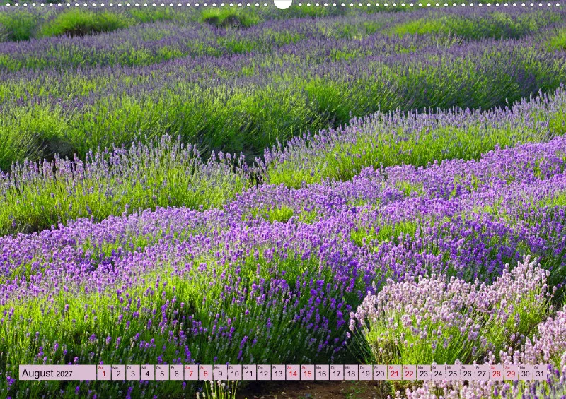 2027 A2 Farbzauber Lavendel