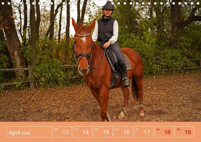 2026 A4 Faszination Reitsport - Wochenkalender