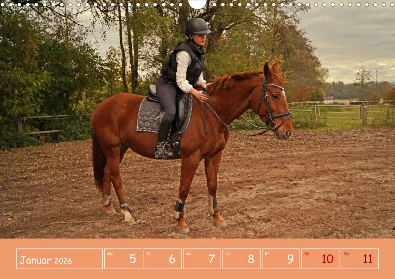 2026 A3 Faszination Reitsport - Wochenkalender