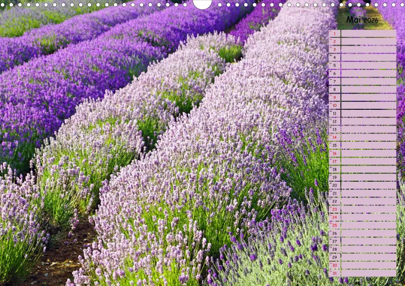 2026 A3 Terminplaner Farbzauber Lavendel