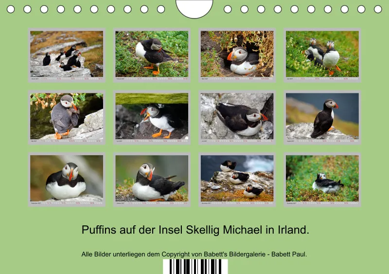 2027 Tischkalender A5 Papageitaucher - Kleine Vögel ganz groß!