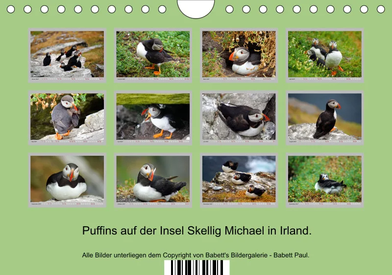 2027 Tischkalender A5 Papageitaucher - Kleine Vögel ganz groß!