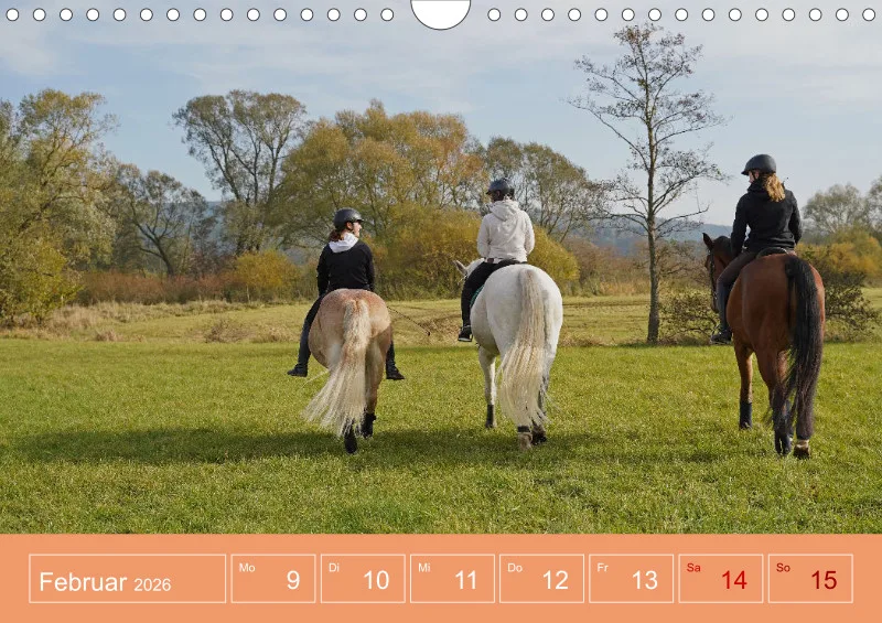 2026 A4 Faszination Reitsport - Wochenkalender