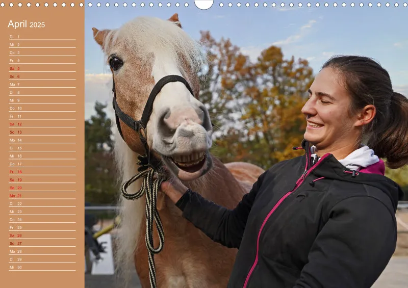 2025 Planer A3 Faszination Haflinger