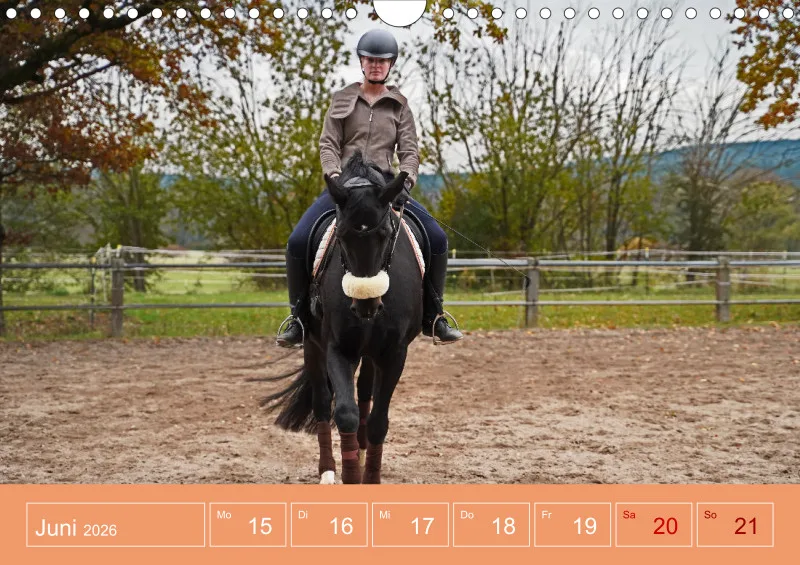 2026 A4 Faszination Reitsport - Wochenkalender