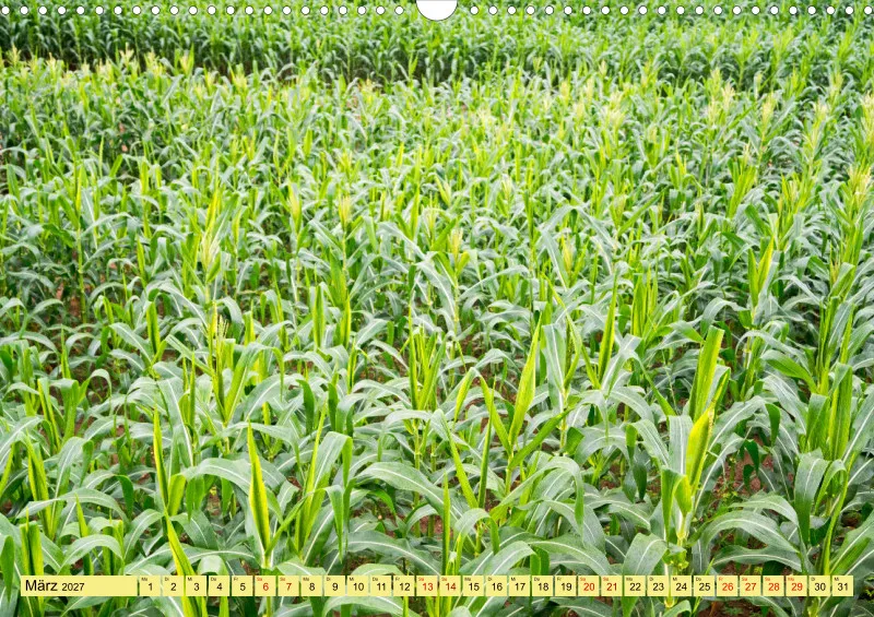 2027 A3 Farbzauber Natur -Grün