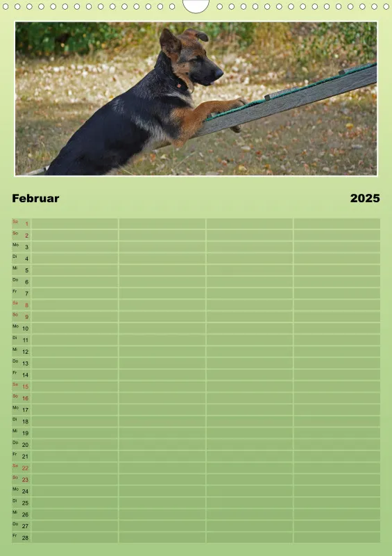 2025 A3 Familienplaner Schäferhündin