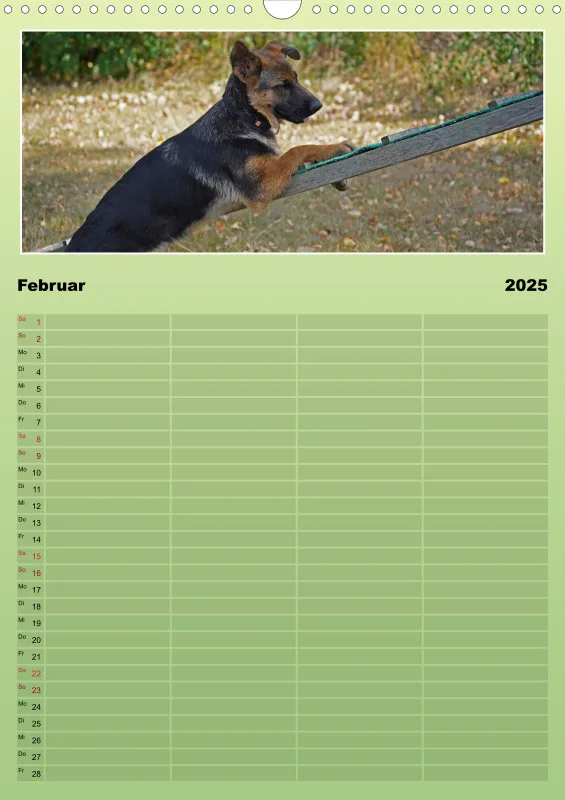 2025 A3 Familienplaner Schäferhündin