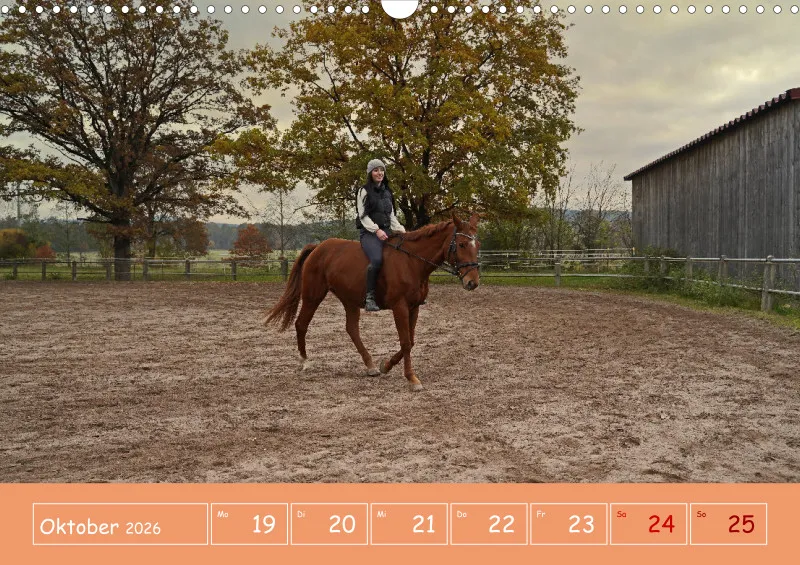2026 A3 Faszination Reitsport - Wochenkalender