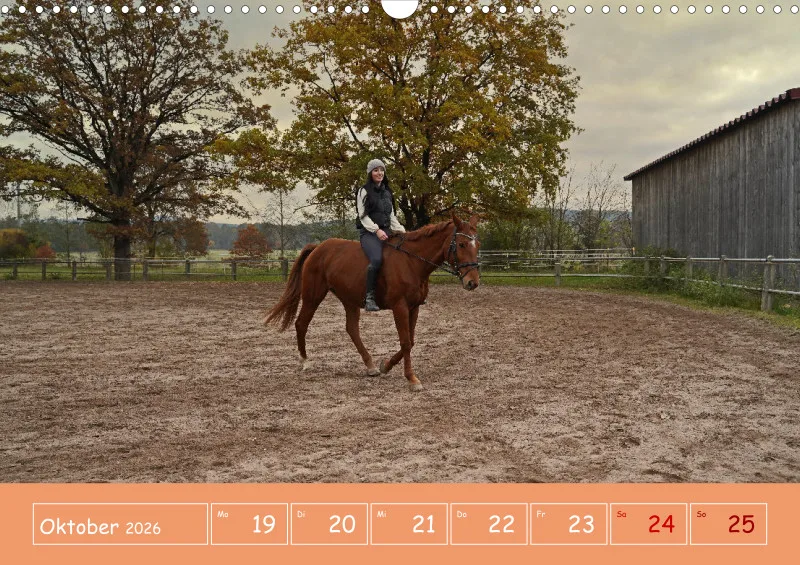 2026 A3 Faszination Reitsport - Wochenkalender