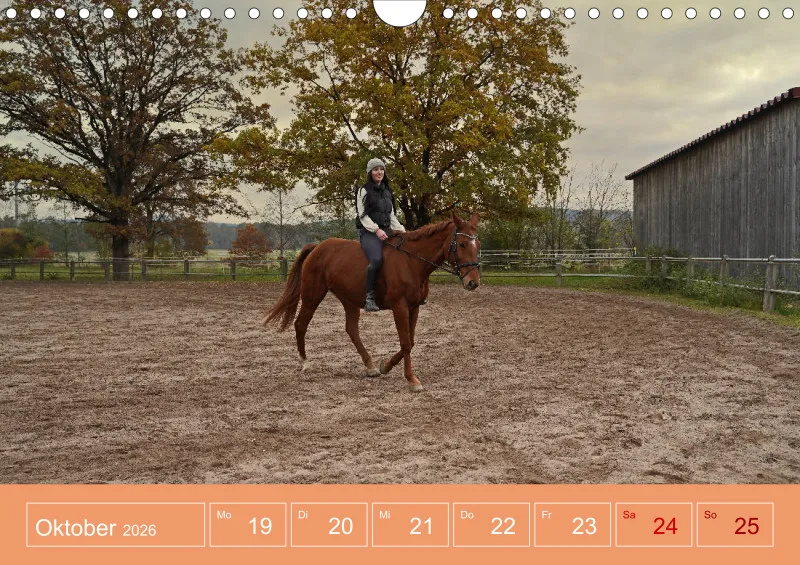2026 A4 Faszination Reitsport - Wochenkalender