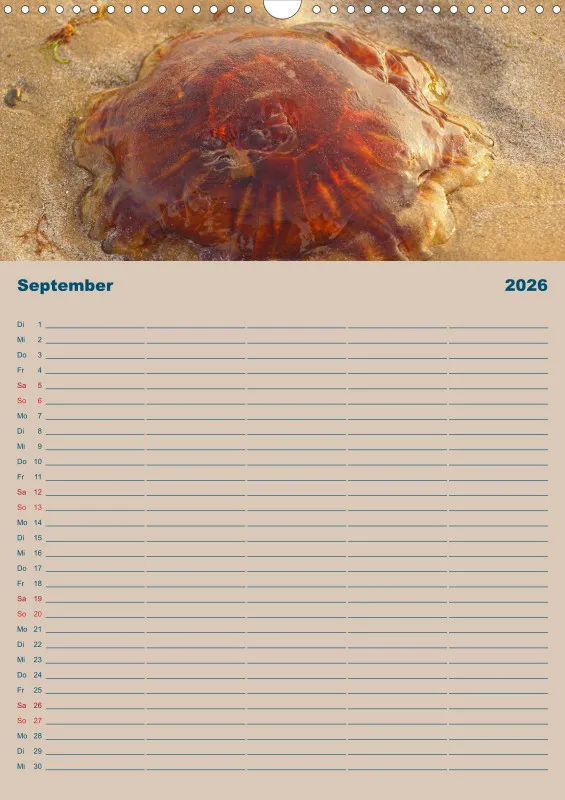 2026 A3 Planer Unterwegs am Strand