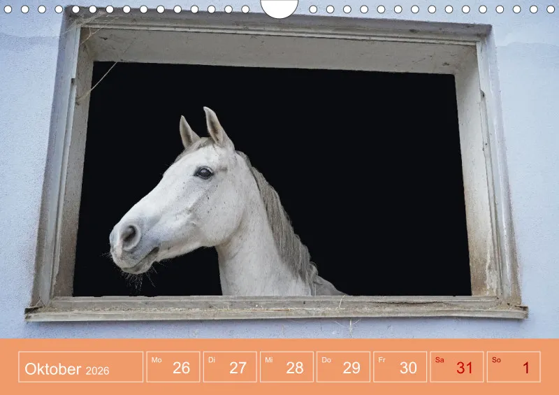 2026 A4 Faszination Reitsport - Wochenkalender